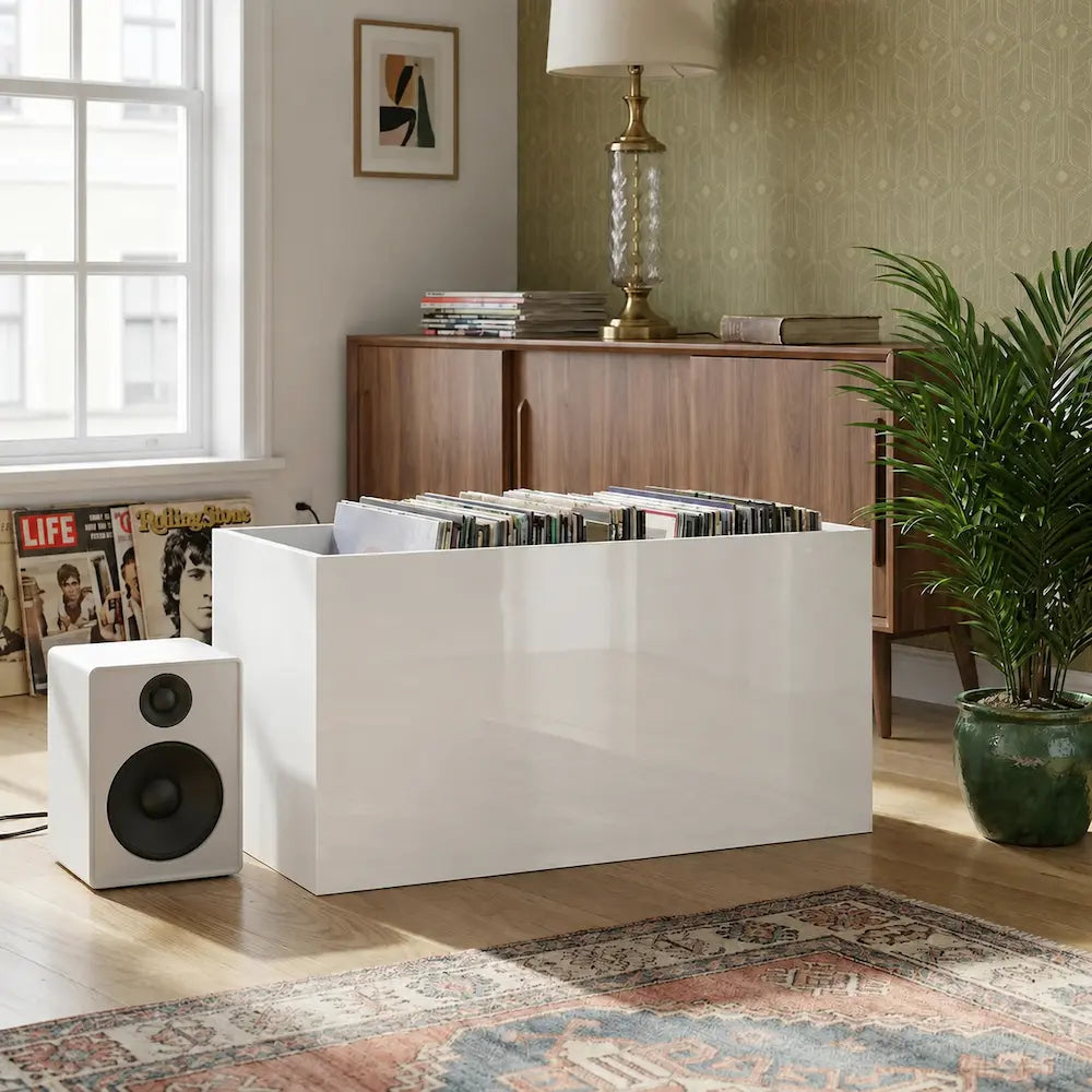 bac de rangement vinyles