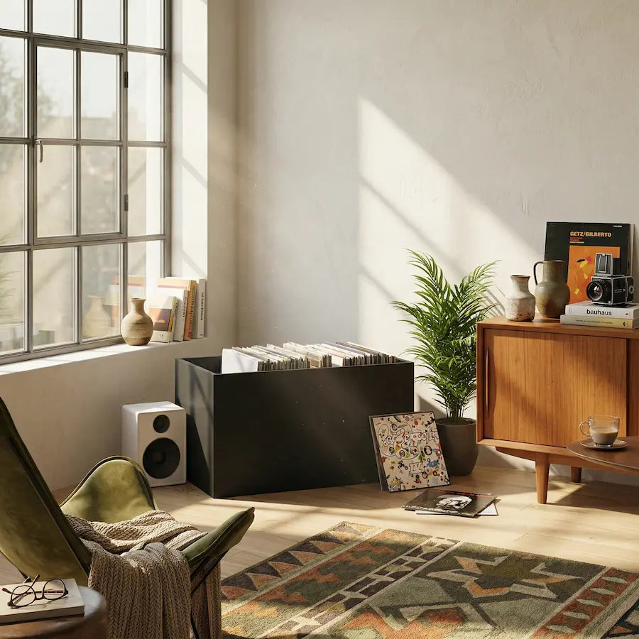 bac de rangement meuble vinyle en bois noir dans salon