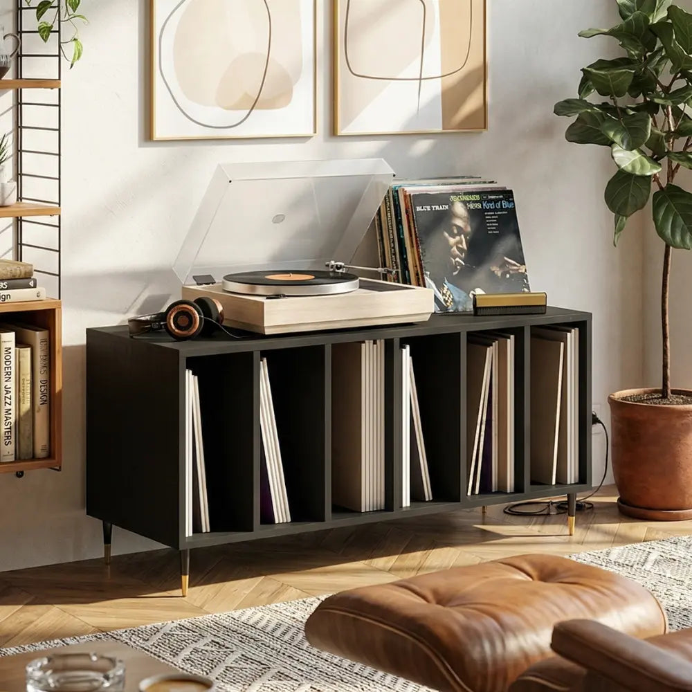 meuble vinyle noir en bois aux dimensions 100 x 38 x 48 cm dans salon